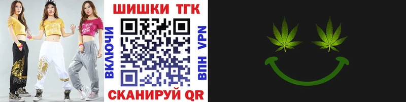 ГАШ Лермонтов