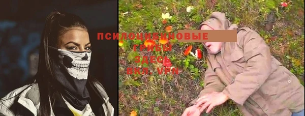 эйфоретик Алзамай